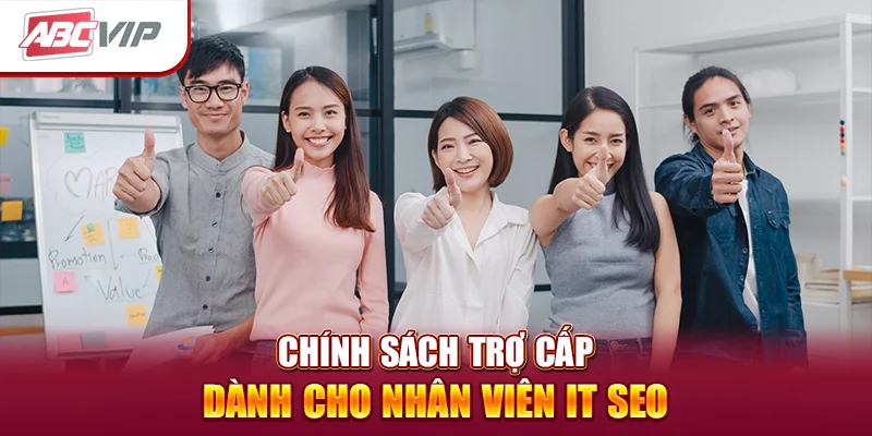 chính sách trợ cấp dành cho nhân viên it seo